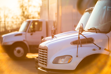 two box trucks parked with the morning sun shining